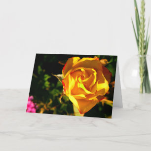 Orangene Rose Feiertagskarte