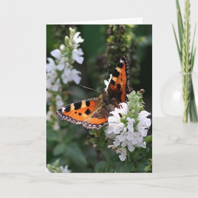 Orangene Schmetterlinge und weiße Blüten Karte (Vorderseite)