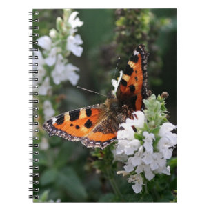 Orangene Schmetterlinge und weiße Blüten Notizblock