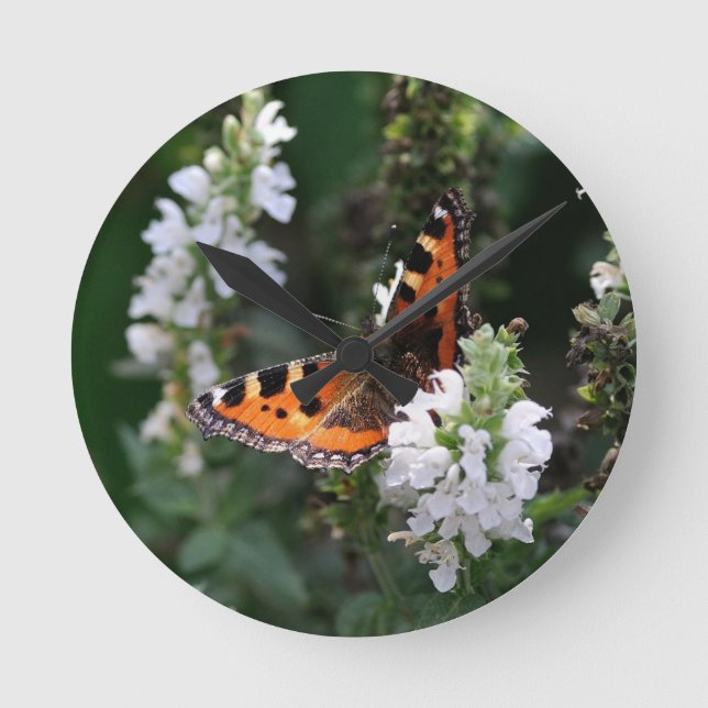 Orangene Schmetterlinge und weiße Blüten Runde Wanduhr (Vorderseite)