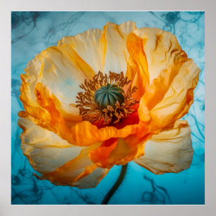 Orangene Schönheit  Poster