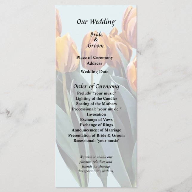 Orangene Tulpen Programm (Vorderseite)