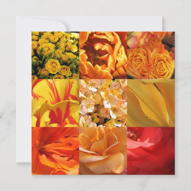 Orangene und gelbe Blumen (Vorderseite)