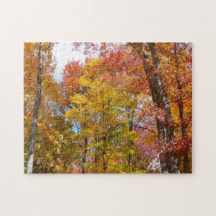 Orangene und gelbe Herbstbäume Herbstfotografie