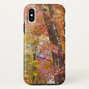 Orangene und gelbe Herbstbäume Herbstfotografie Case-Mate iPhone Hülle