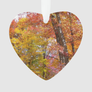 Orangene und gelbe Herbstbäume - Herbstfotografie Ornament