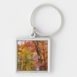 Orangene und gelbe Herbstbäume Herbstfotografie Schlüsselanhänger