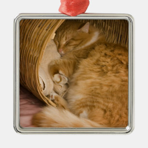 Orangener Stubentiger schläft in Wäschekorb Ornament Aus Metall