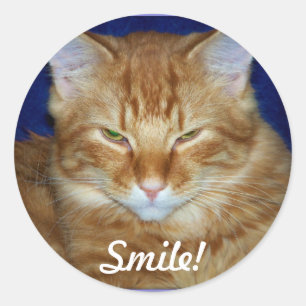 Orangener Tabby-Katze-Lächeln-Aufkleber Runder Aufkleber