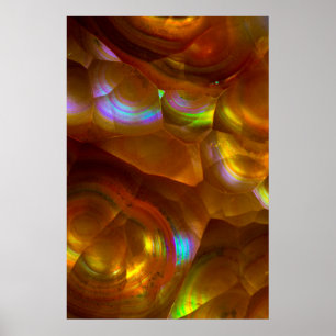 Orangenfeueropal Poster