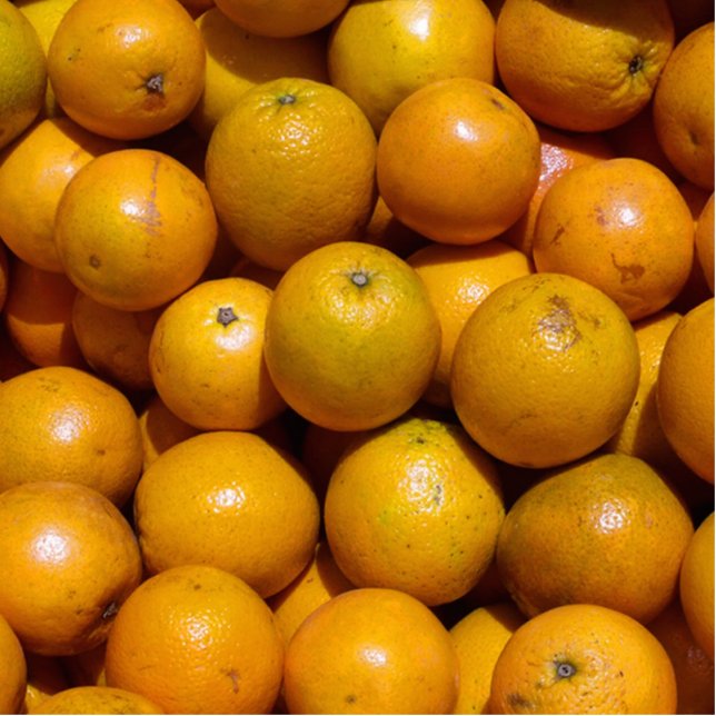 Orangenfrucht Florida Markt Orange Freistehende Fotoskulptur (Vorne)