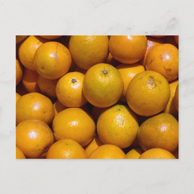 Orangenfrucht Florida Markt Orange Postkarte (Vorderseite)