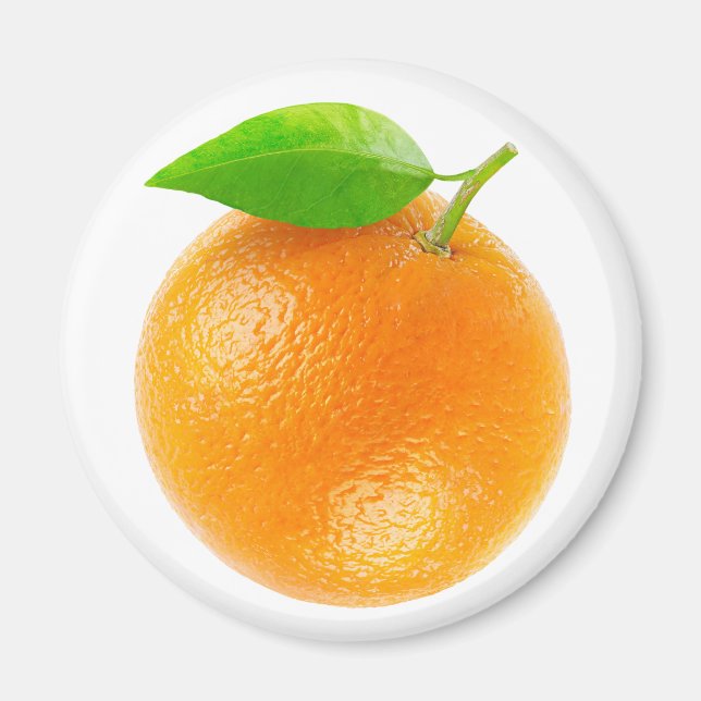 Orangenfrucht Magnet (Vorne)
