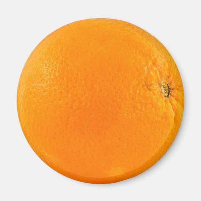 Orangenfrucht Magnet (Vorne)