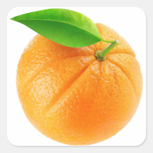 Orangenfrucht Quadratischer Aufkleber