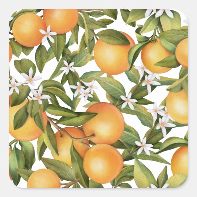 Orangenfrucht und Orangenblüten Quadratischer Aufkleber (Vorderseite)