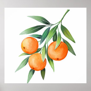 Orangenfrüchte in Aquarellfarben: Abgeschiedene Br Poster