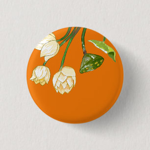 Orangengelbe Lotus Blume & Lotus Seedpod Button