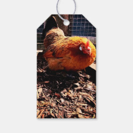 Orangenhahn Geschenkanhänger