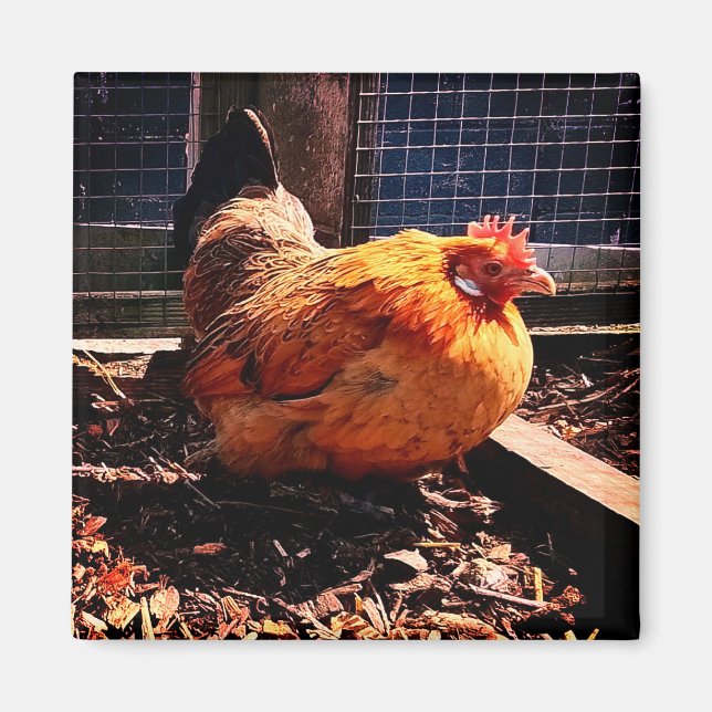 Orangenhahn Magnet (Vorne)