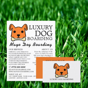 Orangenhund mit Knochen, Hund-Boarding, Werbung Flyer