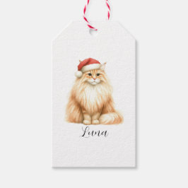 Orangenkatze in Weihnachtsmannmütze Geschenkanhänger