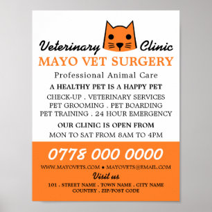 Orangenkatze, Tierarzt, Veterinärdienst Poster