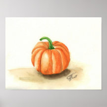 Orangenkürbis