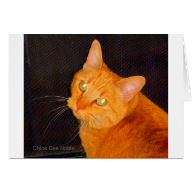 Orangenmarmelade (Vorderseite (Horizontal))