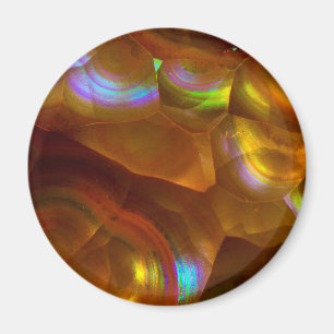Orangenopal Magnet