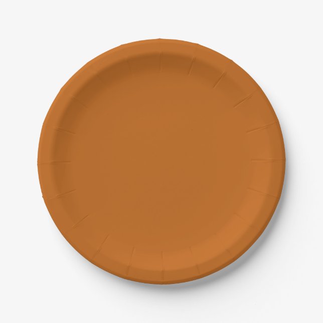Orangenpapier-Teller aus rostfreiem Stahl Pappteller (Vorderseite)