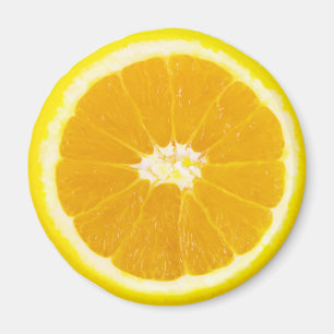 Orangenscheibe Magnet