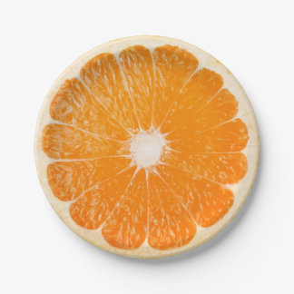 Orangenscheibe Pappteller