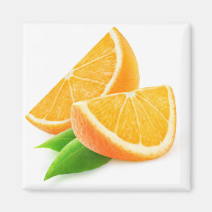 Orangenscheiben Magnet