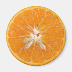 Orangenscheibenfoto Magnet