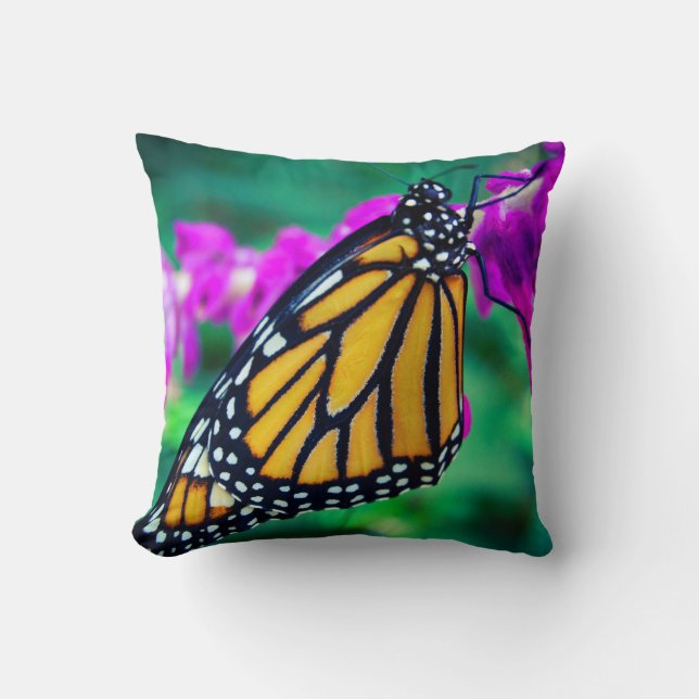 Orangenschmetterling Foto lila Blume fett Kissen (Vorderseite)