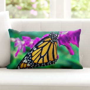 Orangenschmetterling Foto lila Blume fett Lendenkissen