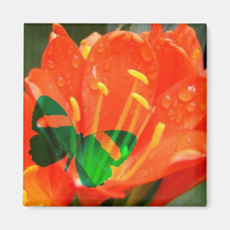 Orangenschmetterling Magnet