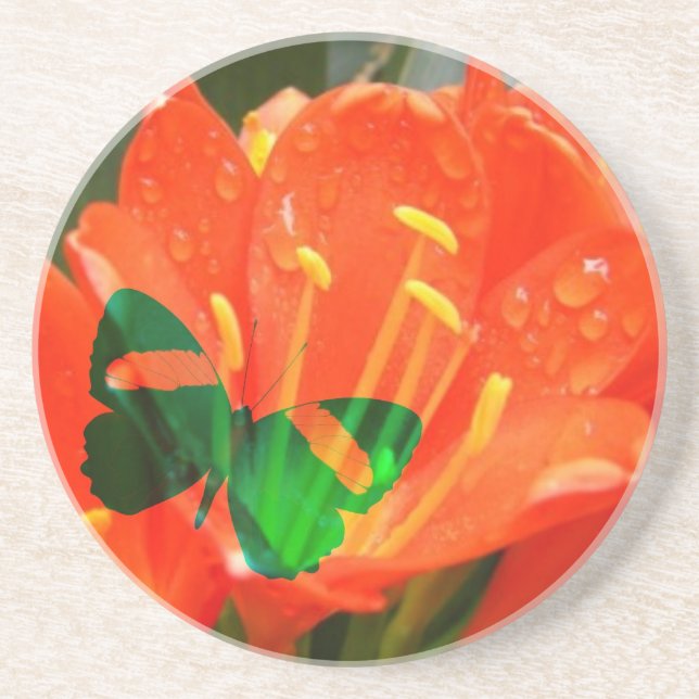 Orangenschmetterling Untersetzer (Vorne)