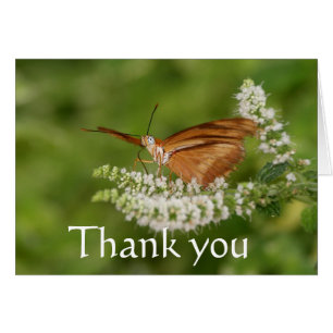 Orangenschmetterling, vielen Dank