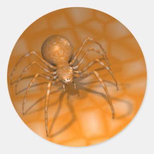 Orangenspinne Runder Aufkleber