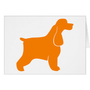 Oranger Cocker Spaniel