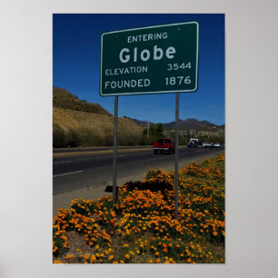 Oranger Klatschmohn blüht in Globe Arizona Poster