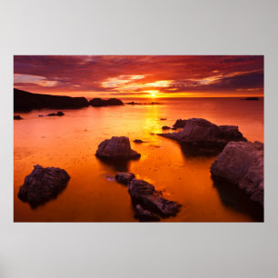Oranger Meerblick, Sonnenuntergang, Kalifornien Poster