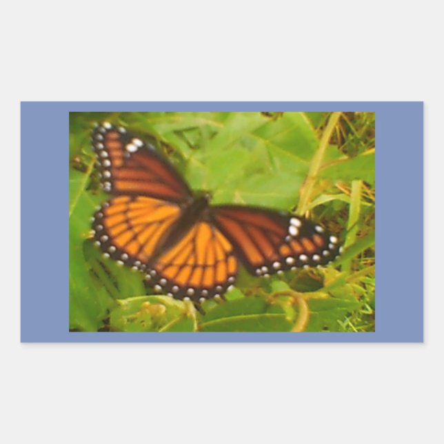 Oranger Monarch Rechteckiger Aufkleber (Vorderseite)