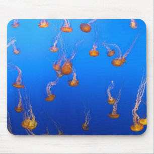 Oranger Quallen-Mauspad Mousepad