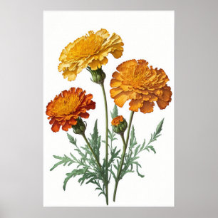 Oranger Ringelblumen-Blumen Kunst Druck Poster