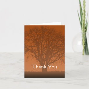 Oranger rustique arbre de vie merci