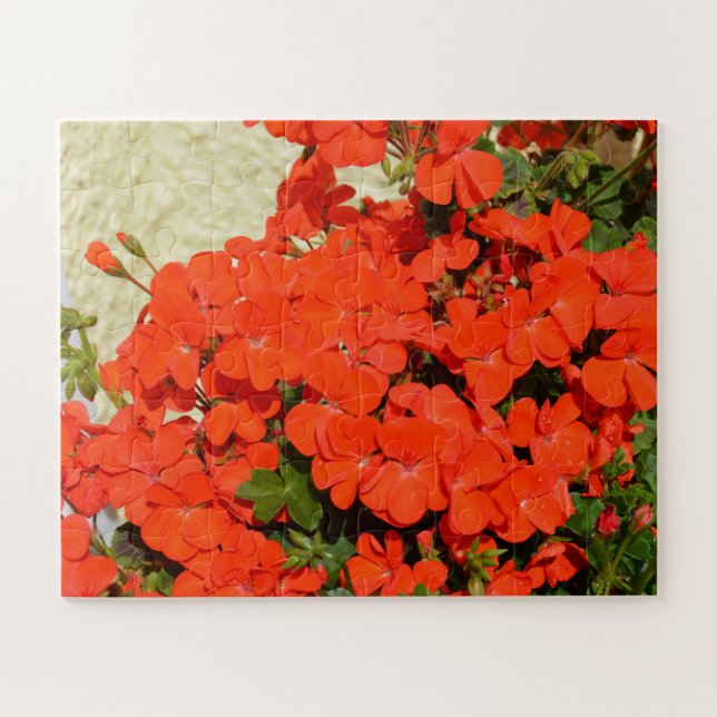 Orangerane Blume (Horizontal)