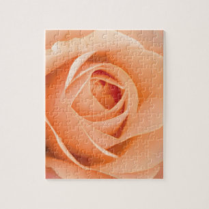 Orangerose